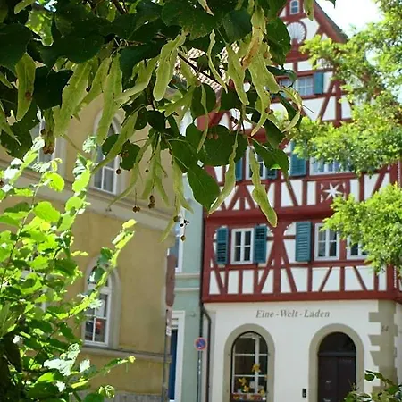 Bayerischer Hof 4* Китцинген
